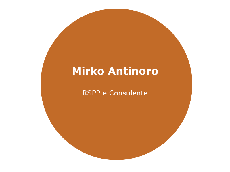 Mirko Antinoro - RSPP, Consulente